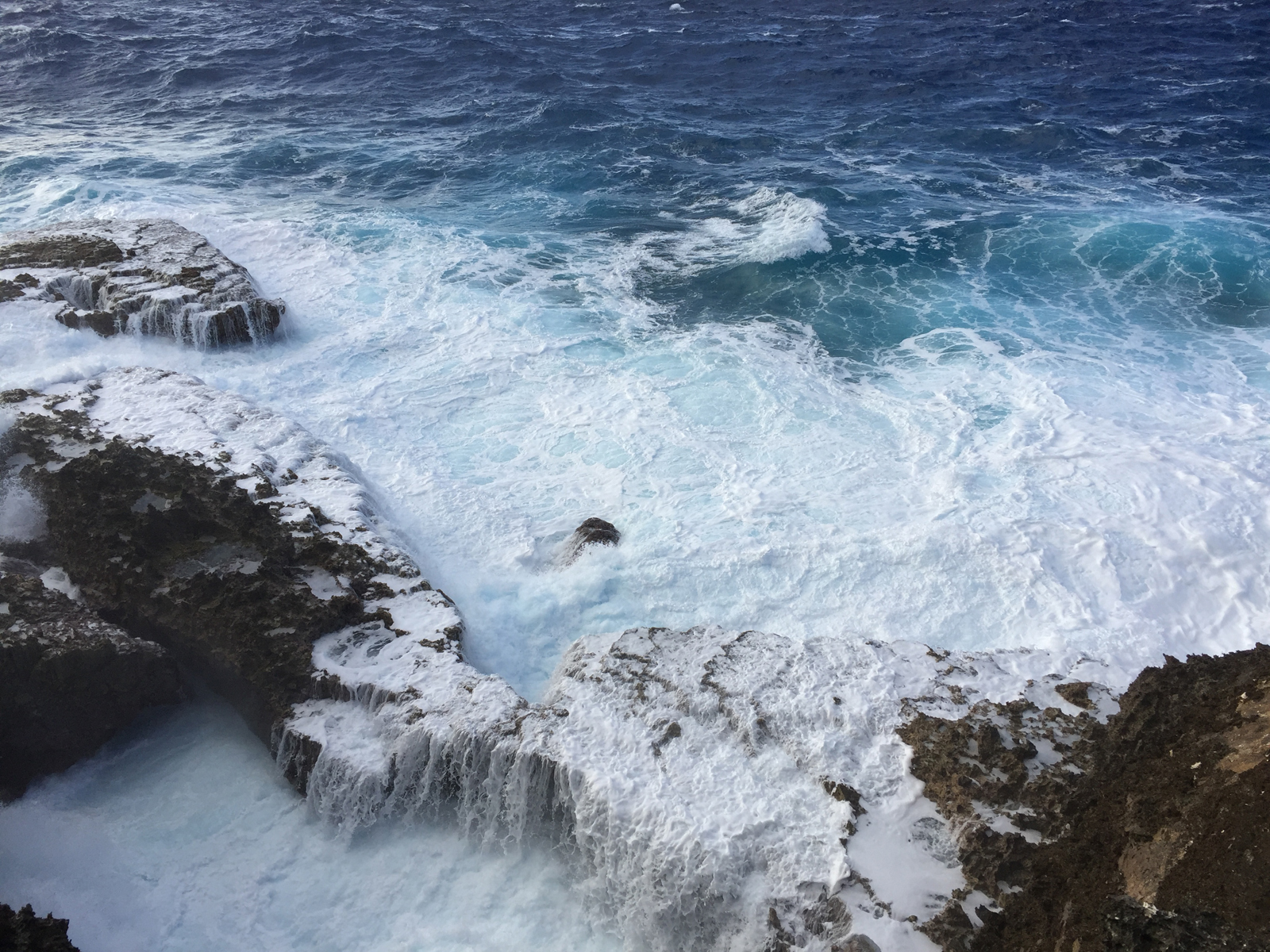 Hapuke, Niue