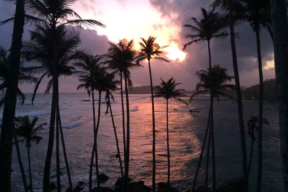 Tropical Sunset in Sri Lanka